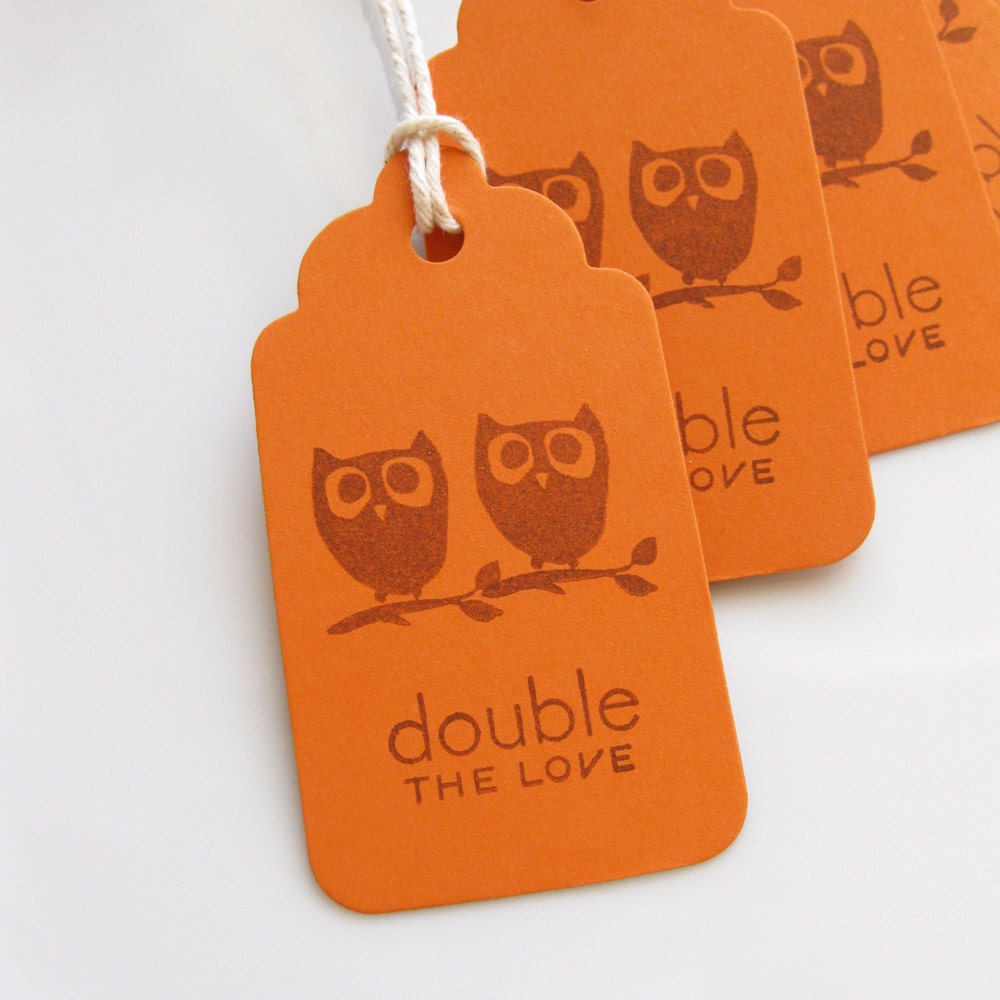 Twin Baby Shower Tags Owls Double the Love - Set of 6 - Twin Baby Shower Favor Tags Twin Baby Owls Il_170x135
