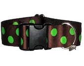 Polka Dot Wide Dog Collar - Hokey Pokey - 1.5" Dog Collar