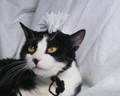 CAT HAT Black & White Mohawk -  ANY Color Made to Order