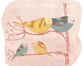 Bird Watching