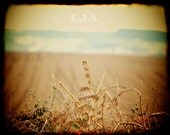 ENDLESS Ireland size 8x10  fine art photograph ttv style