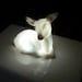 RSVD for kwwasserman - Deer nightlight