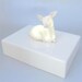 RSVD for kwwasserman - Deer nightlight