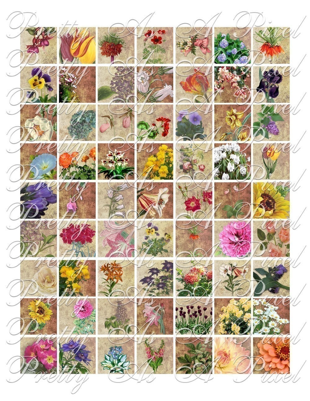 A Touch of Vintage - Flowers - Inchies, 7-8 inch, or scrabble tile size .75 x .83 inch - Digital Collage Sheet