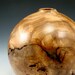 Cavernous Remains - Russian Olive Burl Vessel