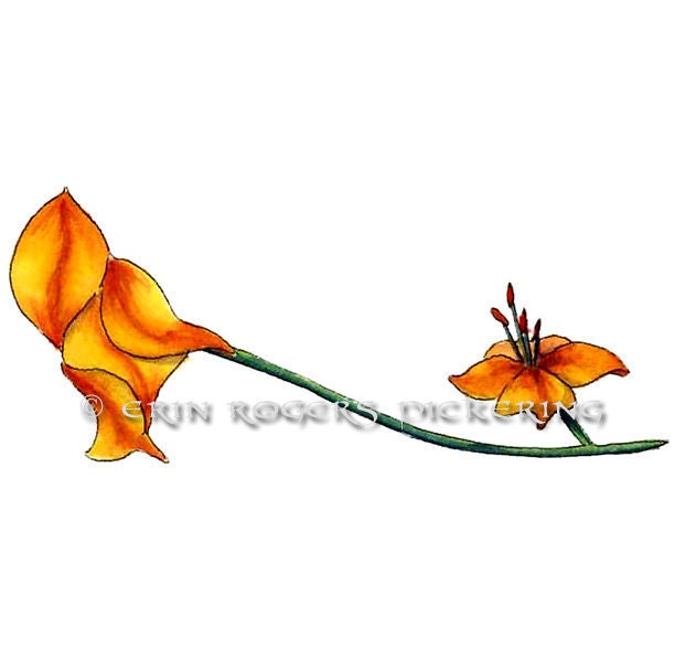 Shoe Art Day Lily kitten heel shoe 5x7 Print