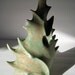 leafy sage vase w/ hole
