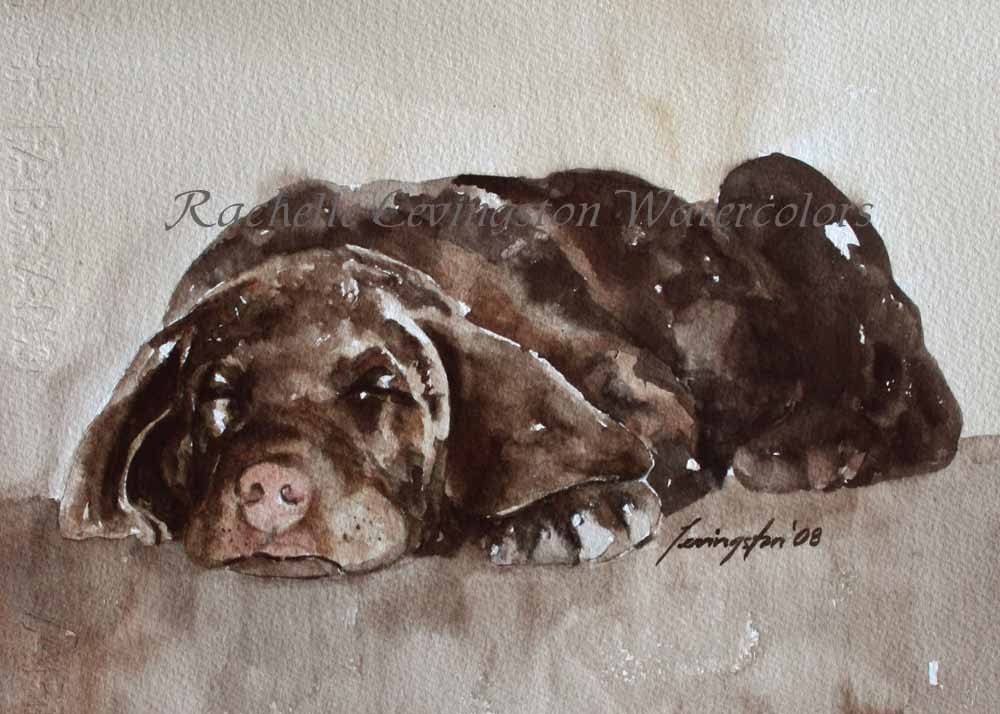 Chocolate Lab Card 8 pack (Lab Puppy NOTECARDS 4 x 6 BLANK  Dog Art Print/ Puppy cards art) Labrador Retriever Cards