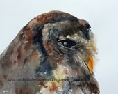 Brown Owl Wall Art PRINT  (PRINT from Watercolor Owl Painting 8 x 10) in rust gold brown orange white