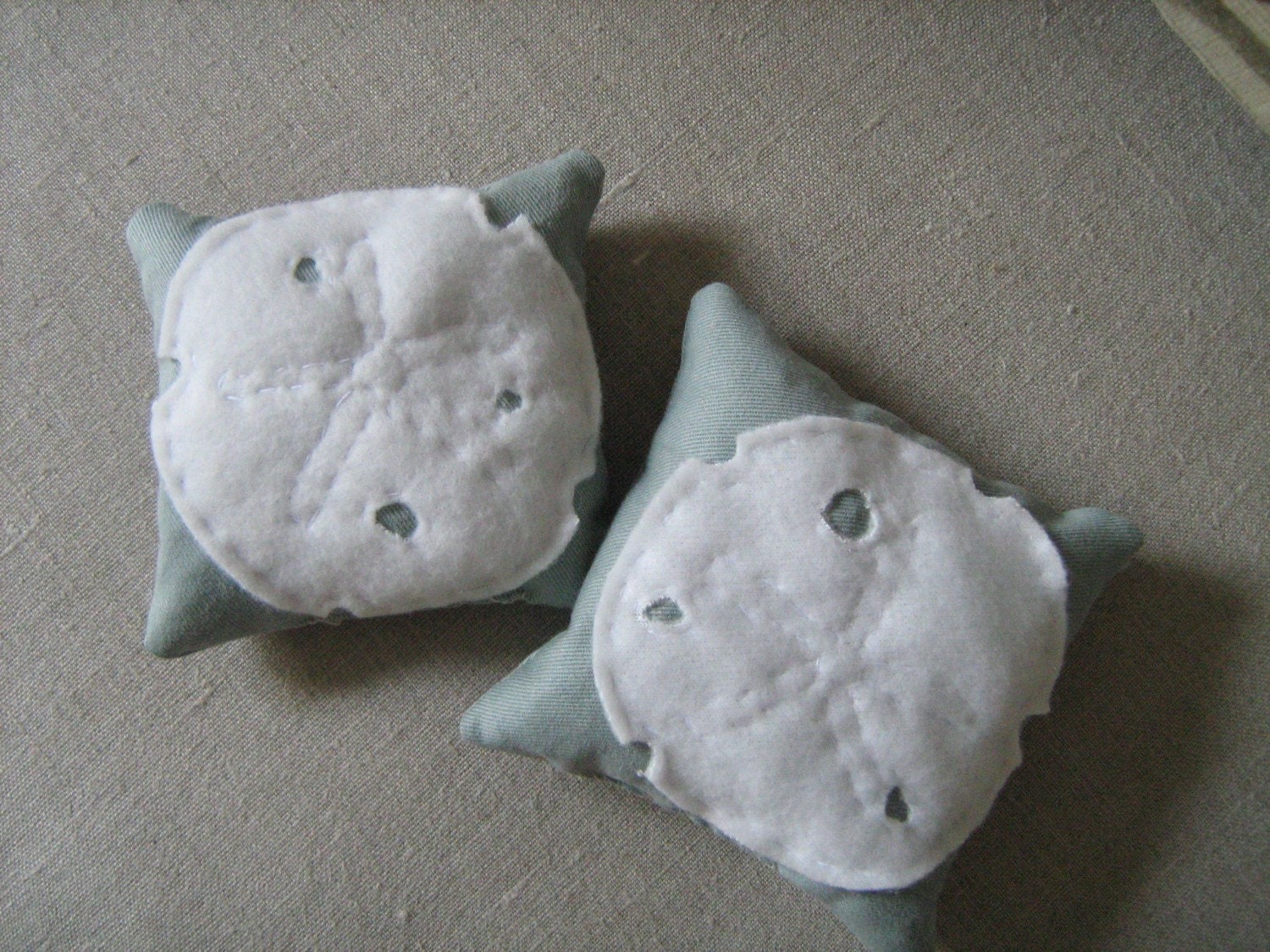 Sand Dollar Bookends in Aqua