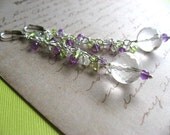 Wisteria