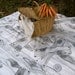 PICNIC BLANKET - modern rustic woodgrain / black and white tree logs outdoors camping blanket for dads (last 3)