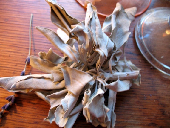 White Sage, smudging sage, dream pillows, sachets 1 ounce, free shipping when ordered with another item