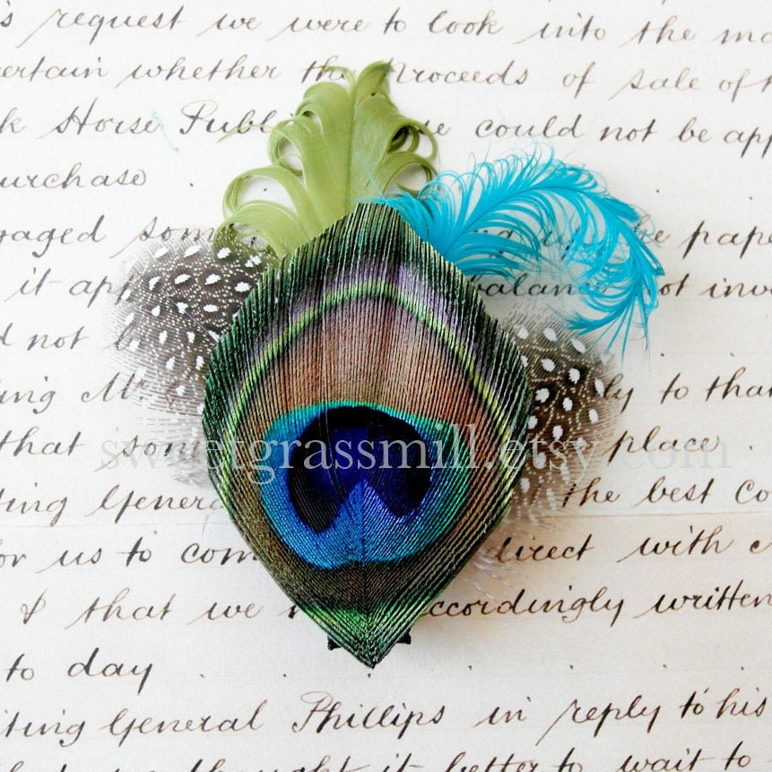 Peacock Fascinator - PETIT CALAIS - Peacock Feather Clip