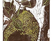Jackfruit, limited edition linoleum block print, printed and signed in pencil by the artist