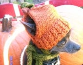 PUMPKIN autumn harvest Hand Knit Dog hat