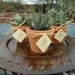 3 Succulent Favors, Assorted Plants in Terracotta Pots with Hang Tags