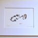 Cat Art- Bop