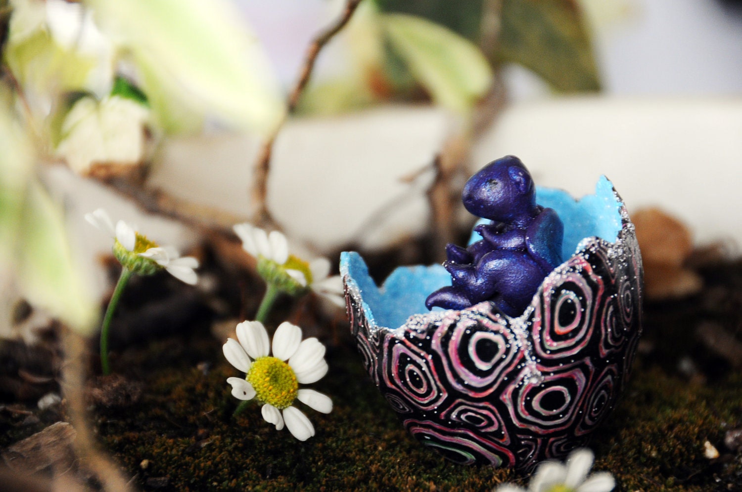 dragon hatchling