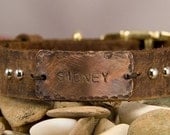 collar .75 inch wide Leather dog collar, name, tag, distressed