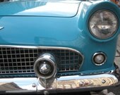 T-Bird 8x10