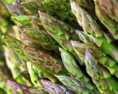 Heirloom Asparagus Seed- Mary Washington variety