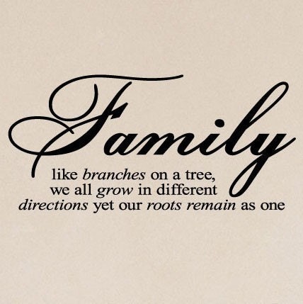 Family Like Branches On A Tree... vinyl lettering wall sayings home decor quote art   12.5x26