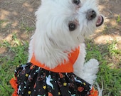 Orange Spooky Halloween Dog Dress with Ric Rac Trim