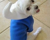 Blue Gnome Boy Halloween Dog Costume