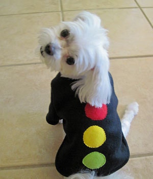 Fleece Traffic Light Halloween Costume for Small Dogs