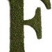 Moss Covered 24 inch WEDDING Church Door Initials Monogram Letters Wreath