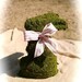 Moss Easter Bunny Rabbit with Ribbon Bow