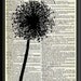 Make a Wish Dandelion Vintage Dictionary Page Art