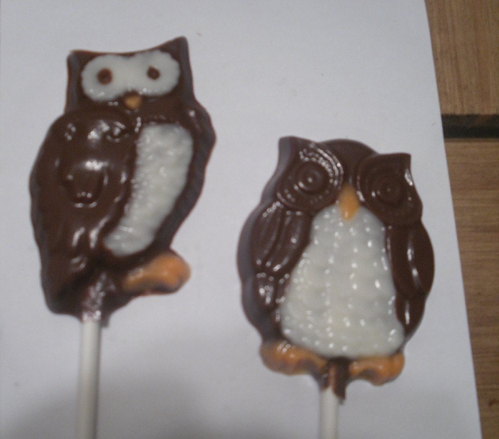 A Dozen Owl Lollipops