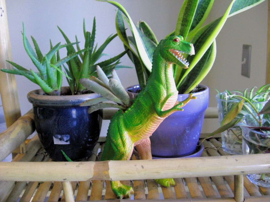 Billy the Dinosaur Planter