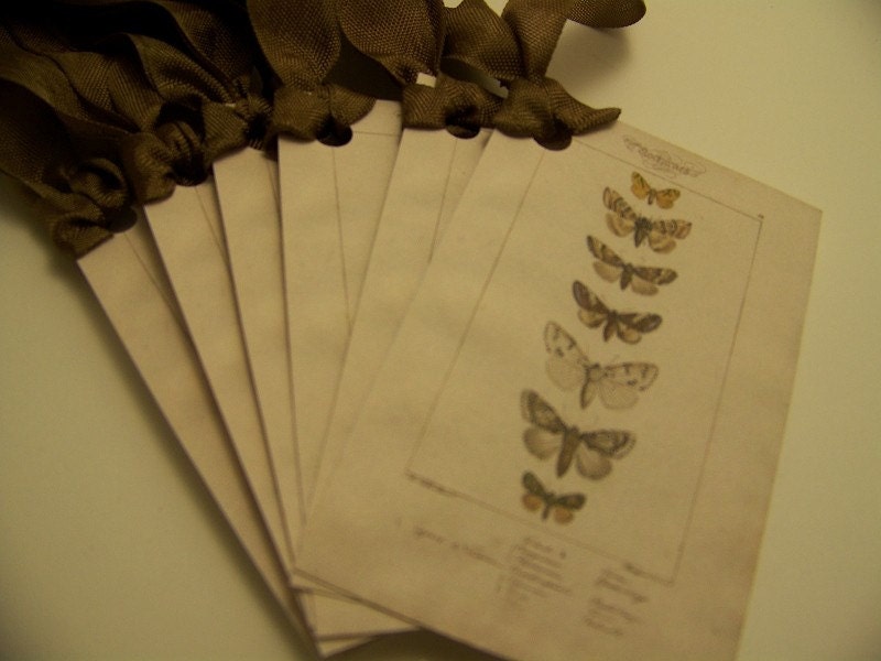 Butterfly Moth Tags - Vintage Image - Set of 6