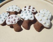 Organic Dog Treats - Friendly Forest Mushrooms - Dog Treats All Natural Organic Vegetarian Dog Treats - - Shorty's Gourmet Treats