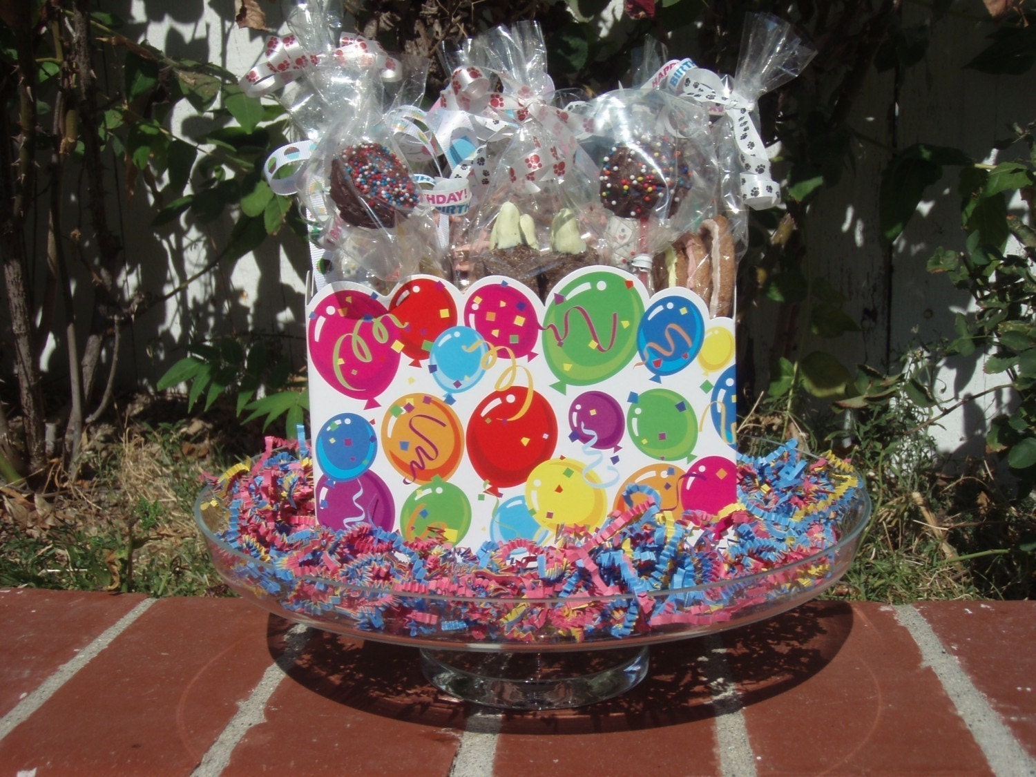 Gourmet Dog Treats - Birthday Bash Gift Basket - Dog Treats Organic All Natural Gourmet Vegetarian - Shorty's Gourmet Treats