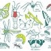 Brooklyn Bugs