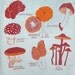Mushroom Tea Towel