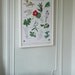 Herb Poster