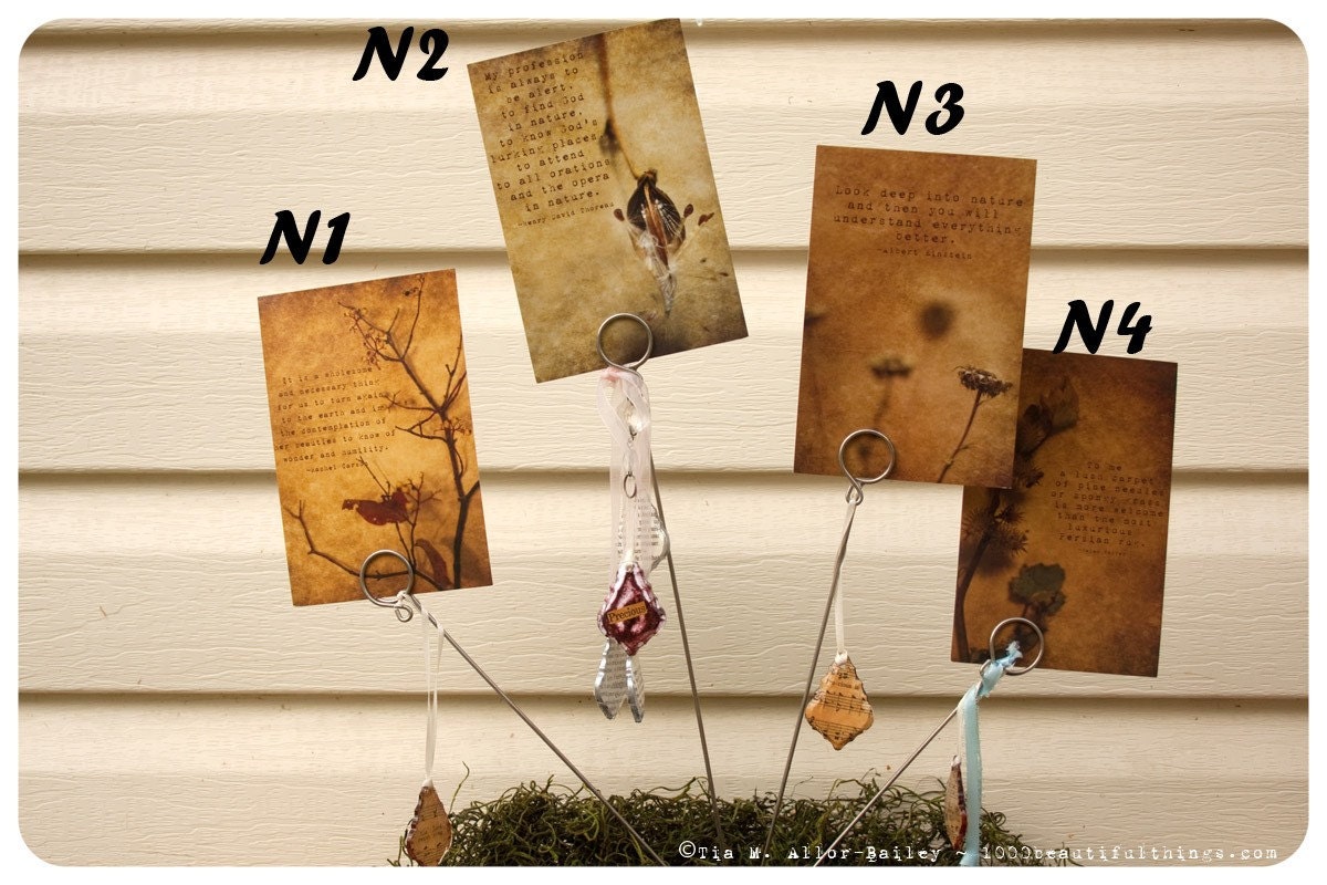 Sale POSTCARDS Nature Quotesl Postcard Fine Art Print Pick 1 N1-N4  ZNE fpoe poe team