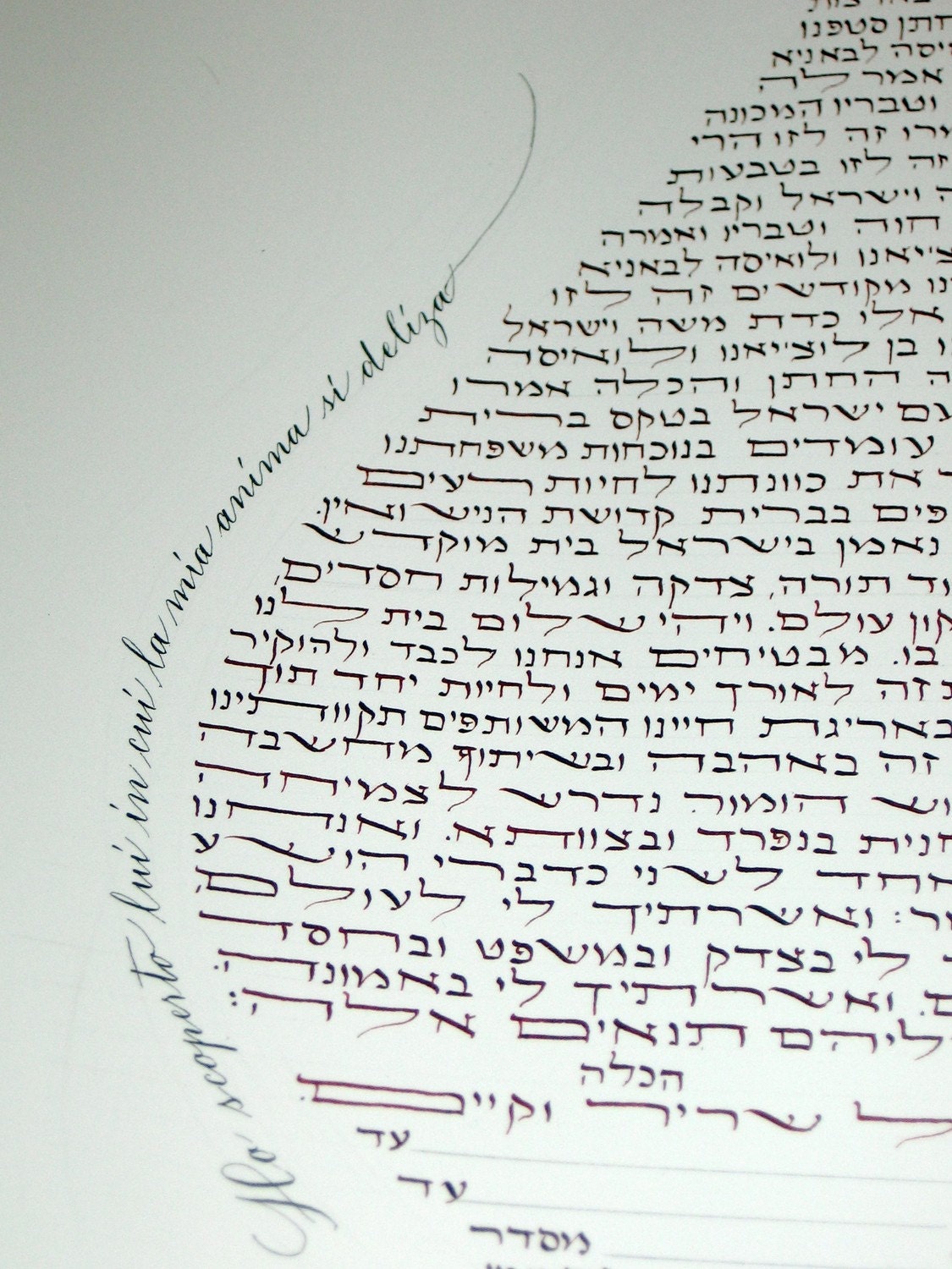 Flame Ketubah - Wedding Calligraphy