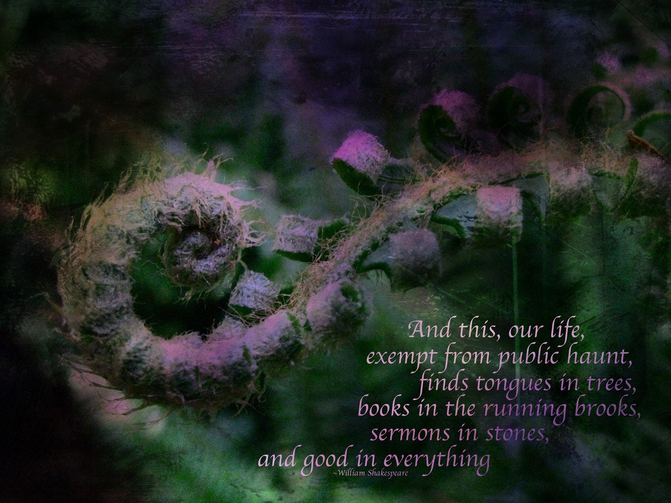Our Life Exempt - Shakespeare's Dreams Postcard
