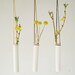 Hanging Test Tube Vase