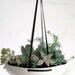Faceted Hanging Tray MADE TO ORDER