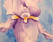 iris watercolor painting . . . 