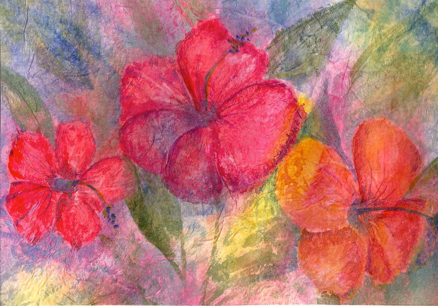 Hibiscus Watercolor
