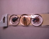 Vintage Beetle Super Strong Magnet Set