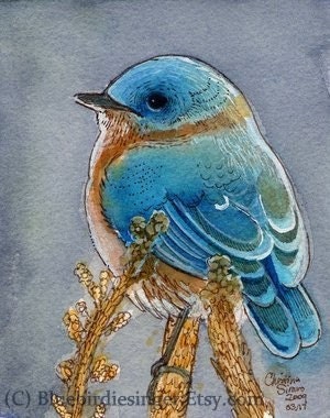 Bluebird Watercolor print 5x7